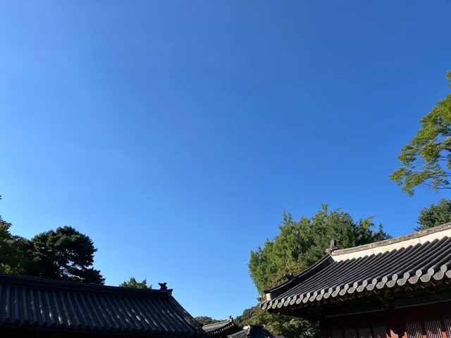 カフェ巡りの準備物