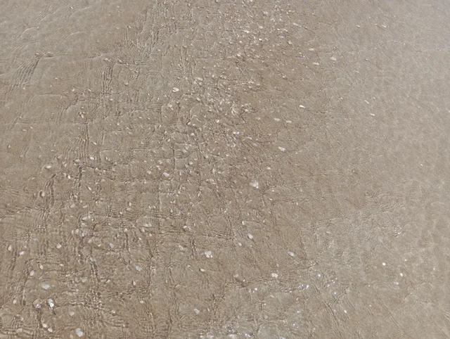 피부 타입별 선크림