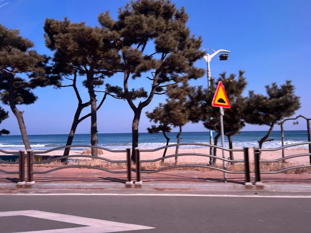 한국 카페 굿즈 한국 카페 굿즈