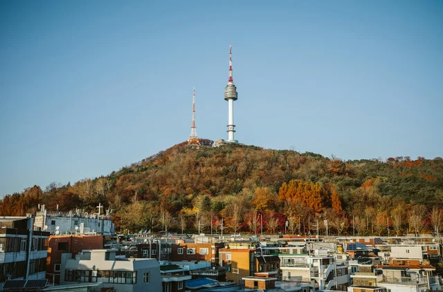 촬영지 여행 필수품 촬영지 여행 필수품