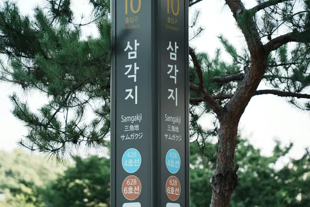 베스트셀러 선크림 구경하기